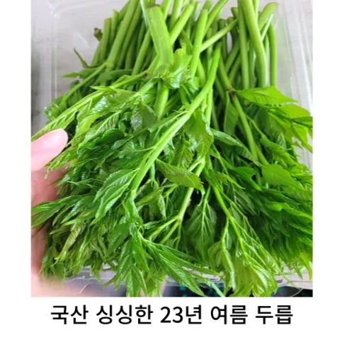 가성비최고 참두릅 BEST 추천제품